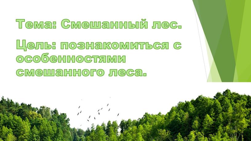 Тема: Смешанный лес. Цель: познакомиться с особенностями смешанного леса