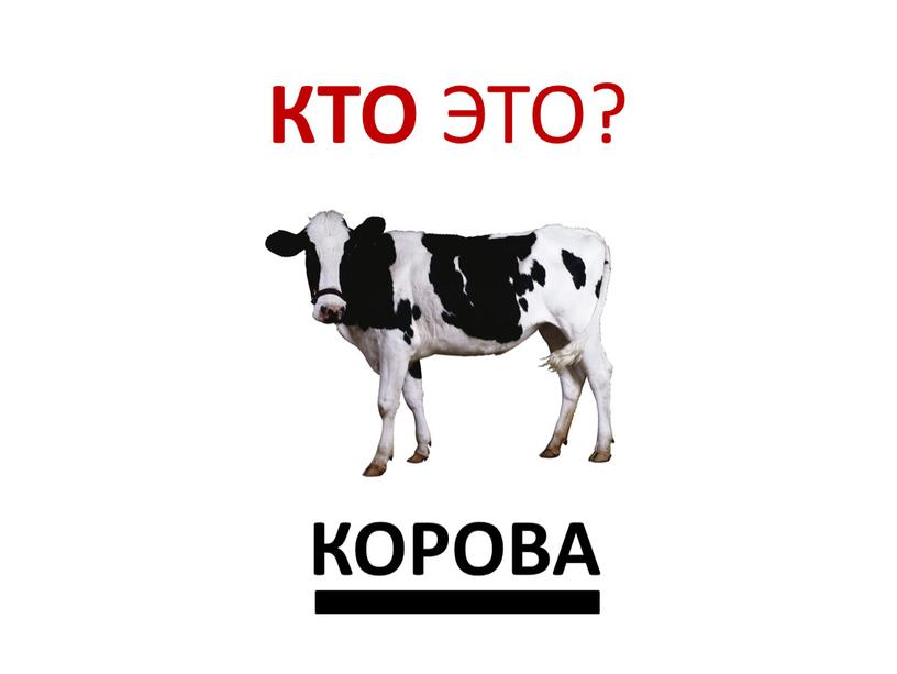 КТО ЭТО? КОРОВА