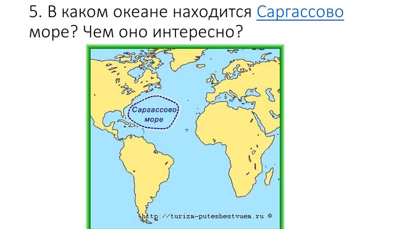 В каком океане находится Саргассово море?