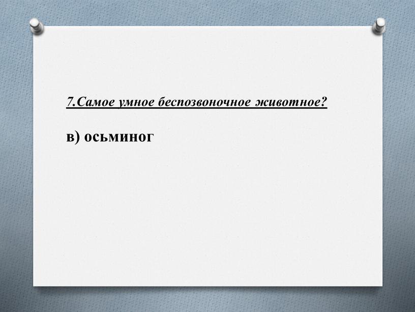 Самое умное беспозвоночное животное? в) осьминог