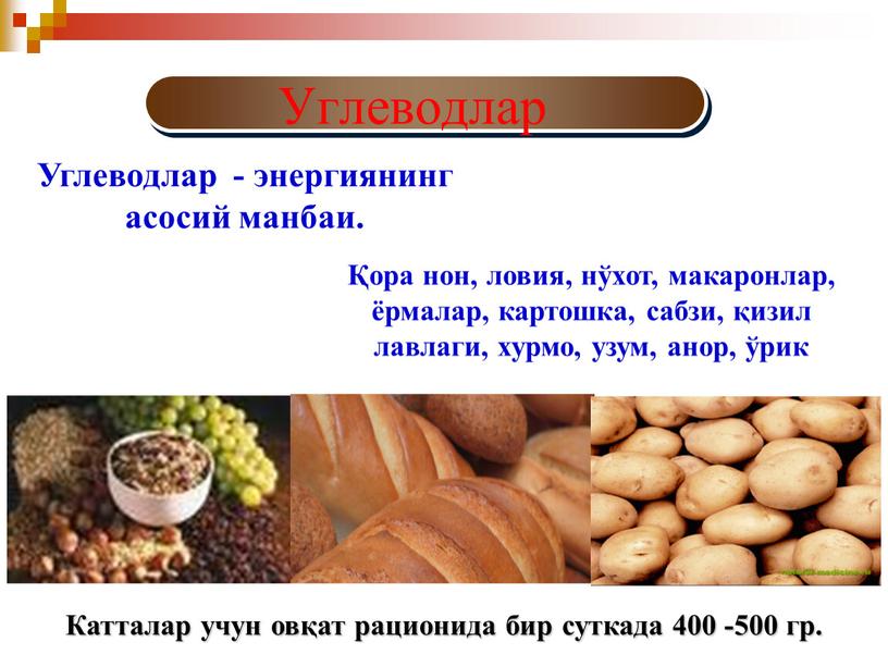 Катталар учун овқат рационида бир суткада 400 -500 гр