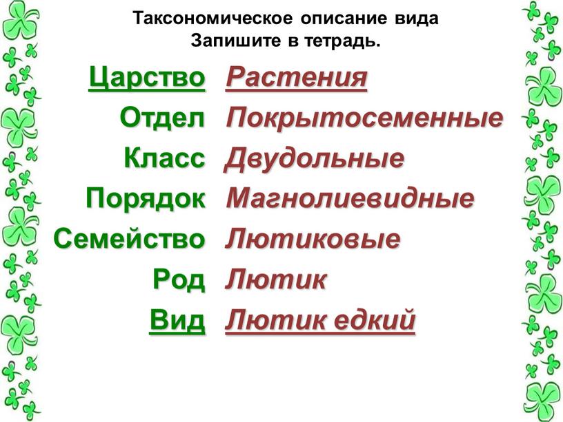 Таксономическое описание вида Запишите в тетрадь