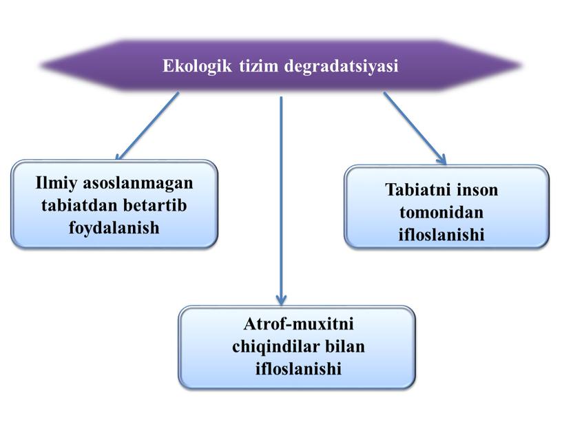 Ilmiy asoslanmagan tabiatdan betartib foydalanish