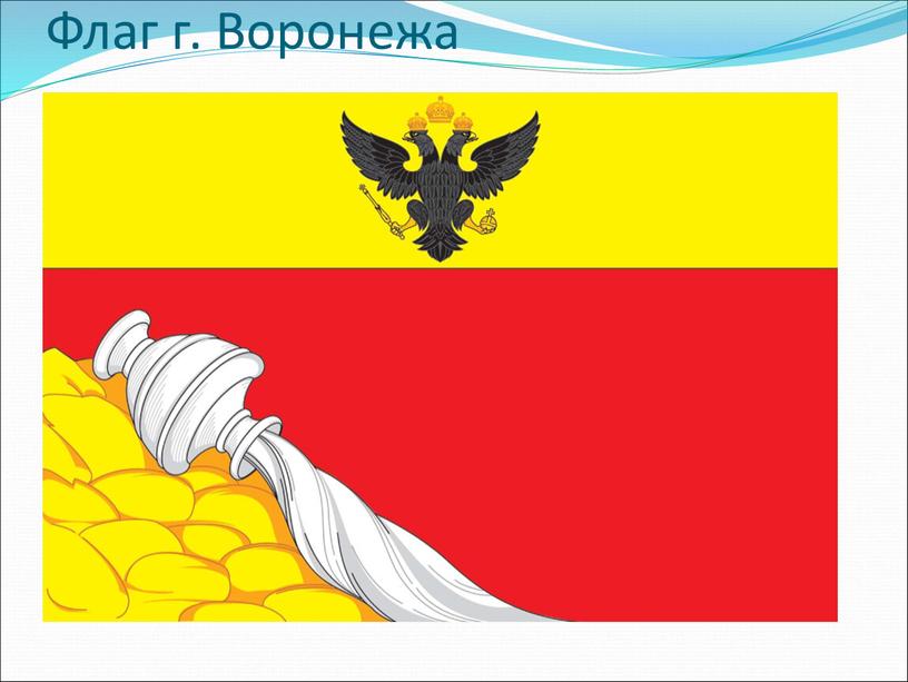 Флаг г. Воронежа