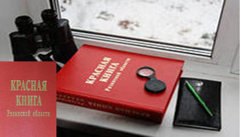 Презентация к классному часу Красная книга - природоохранительный документ"