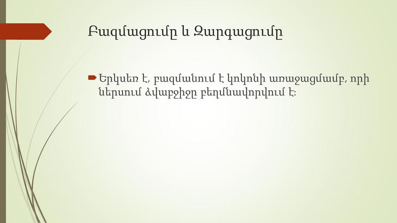 Բազմացումը և Զարգացումը Երկսեռ է, բազմանում է կոկոնի առաջացմամբ, որի ներսում ձվաբջիջը բեղմնավորվում է։