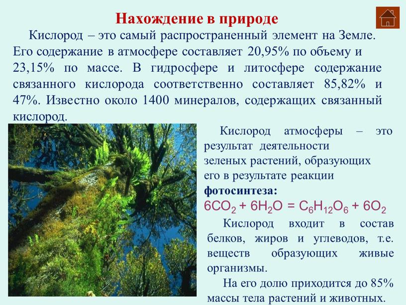 Нахождение в природе Кислород атмосферы – это результат деятельности зеленых растений, образующих его в результате реакции фотосинтеза: 6СО2 + 6Н2О =