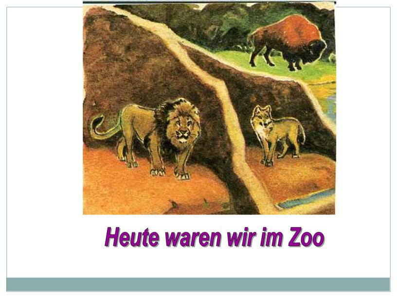 Heute waren wir im Zoo