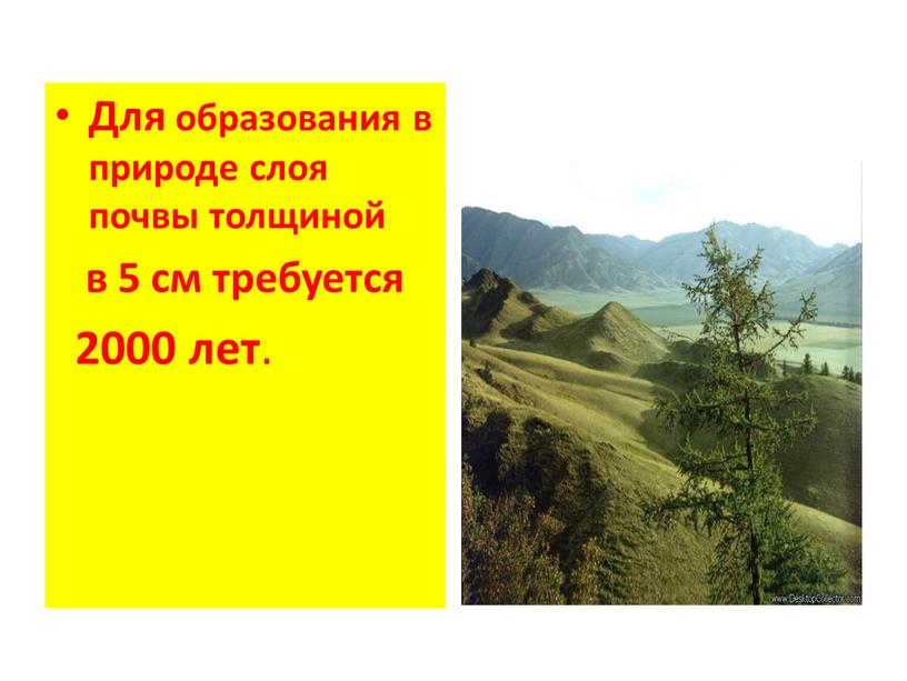 Для образования в природе слоя почвы толщиной в 5 см требуется 2000 лет