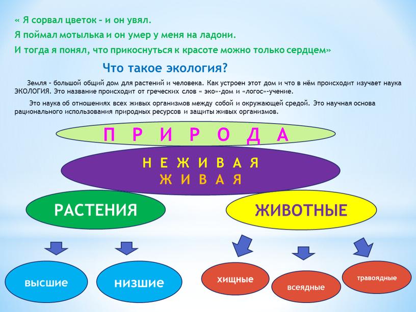 Я сорвал цветок – и он увял. Я поймал мотылька и он умер у меня на ладони