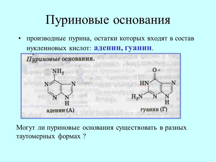 Пуриновые основания производные пурина, остатки которых входят в состав нуклеиновых кислот: аденин, гуанин