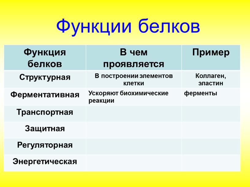 Функции белков Функция белков В чем проявляется