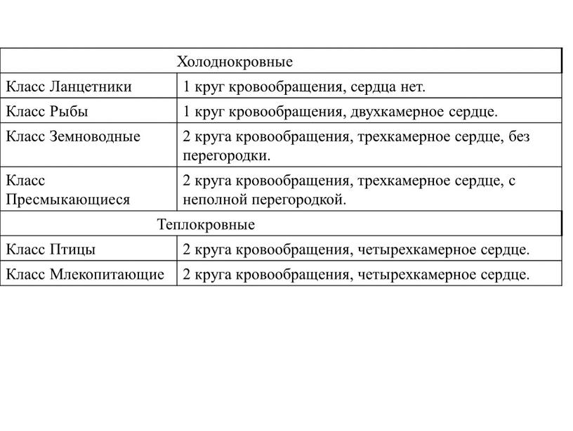 Холоднокровные Класс Ланцетники 1 круг кровообращения, сердца нет