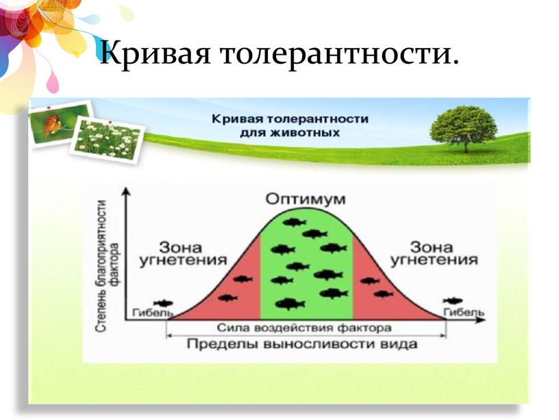 Кривая толерантности.