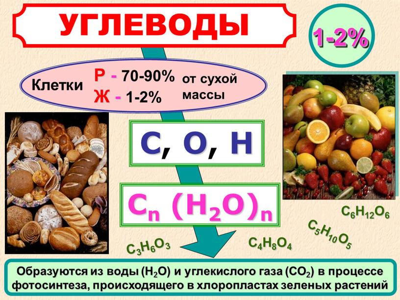 Липиды их строение и функции 10 класс презентация пасечник