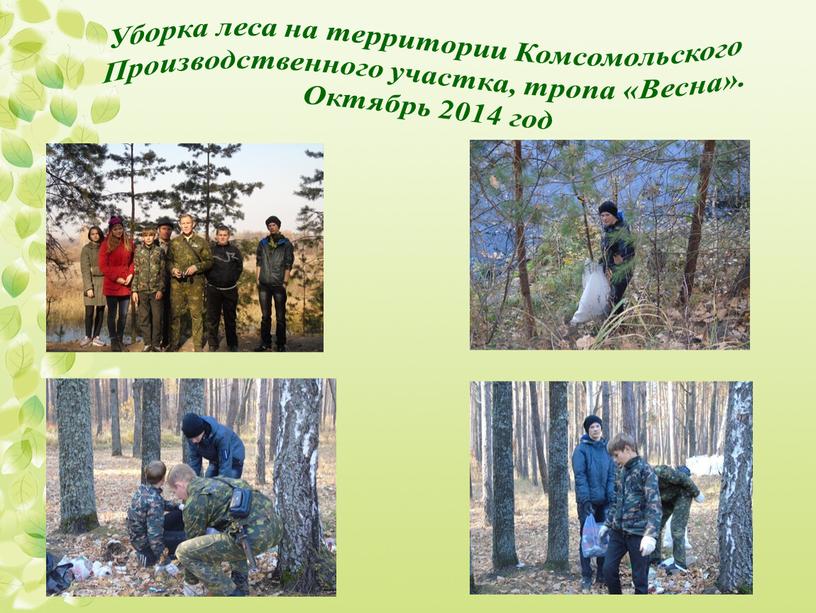 Уборка леса на территории Комсомольского