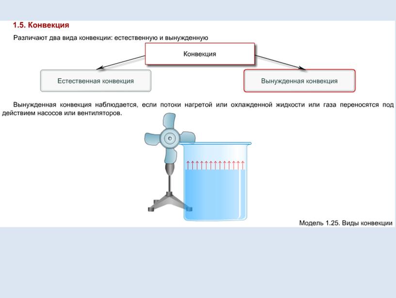 Естественная конвекция в жидкости