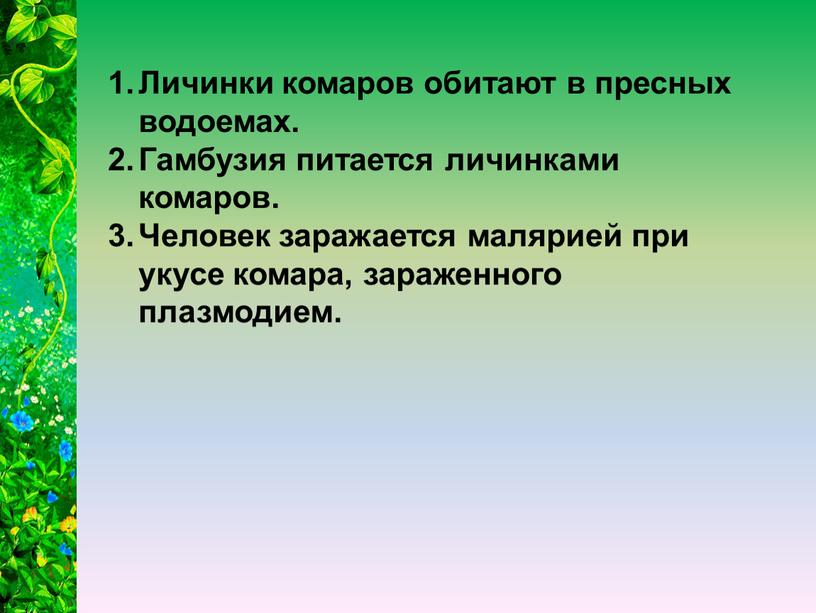 Личинки комаров обитают в пресных водоемах