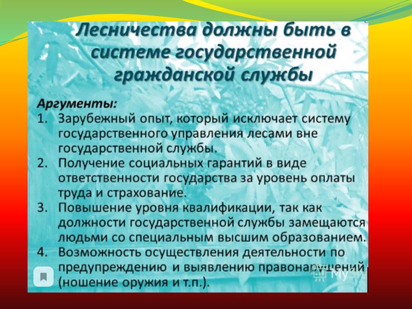 Организация государственного управления лесным хозяйством РФ.