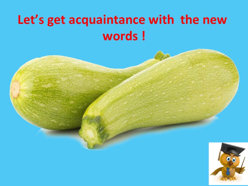 Let’s get acquaintance with the new words !