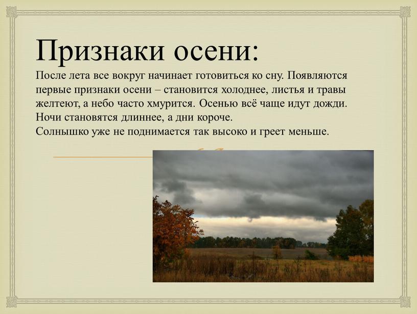 Признаки осени: После лета все вокруг начинает готовиться ко сну