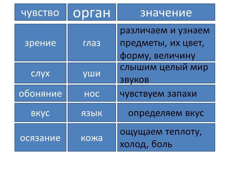 чувство орган значение зрение слух обоняние глаз уши нос различаем и узнаем предметы, их цвет, форму, величину слышим целый мир звуков чувствуем запахи определяем вкус…