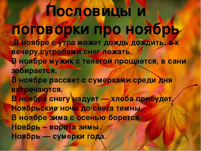 Презентация ноябрь