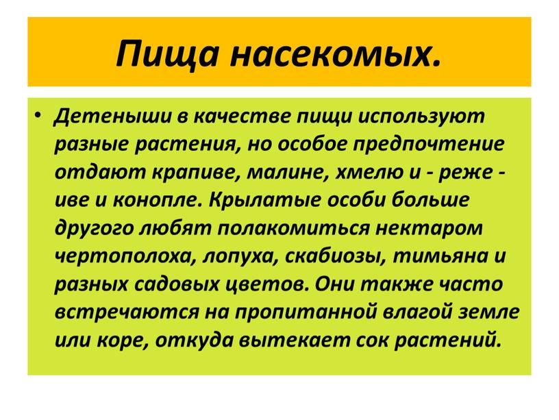 Пища насекомых. Детеныши в качестве пищи используют разные растения, но особое предпочтение отдают крапиве, малине, хмелю и - реже - иве и конопле