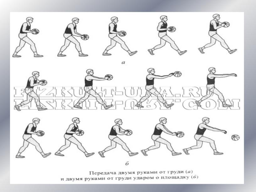 Презентация " Ловля и передача мяча в баскетболе".