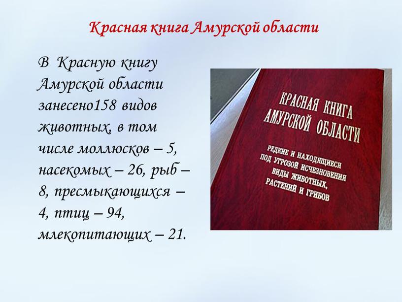 В Красную книгу Амурской области занесено158 видов животных, в том числе моллюсков – 5, насекомых – 26, рыб – 8, пресмыкающихся – 4, птиц –…