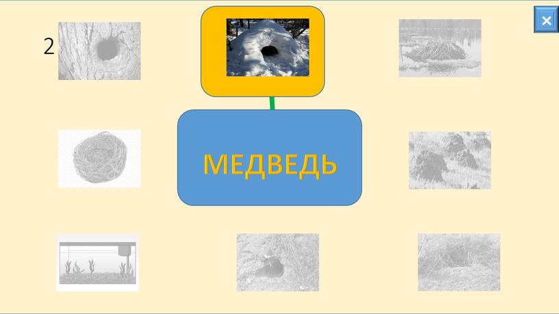 2 × МЕДВЕДЬ