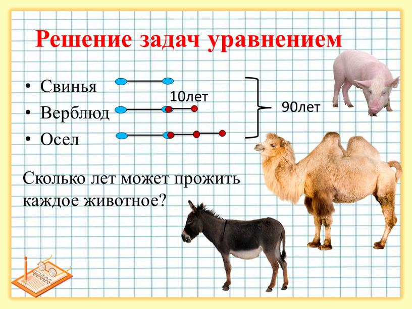 Свинья Верблюд Осел Решение задач уравнением 10лет 90лет