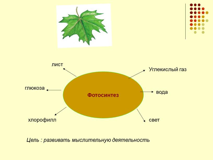 Фотосинтез глюкоза лист Углекислый газ вода свет хлорофилл