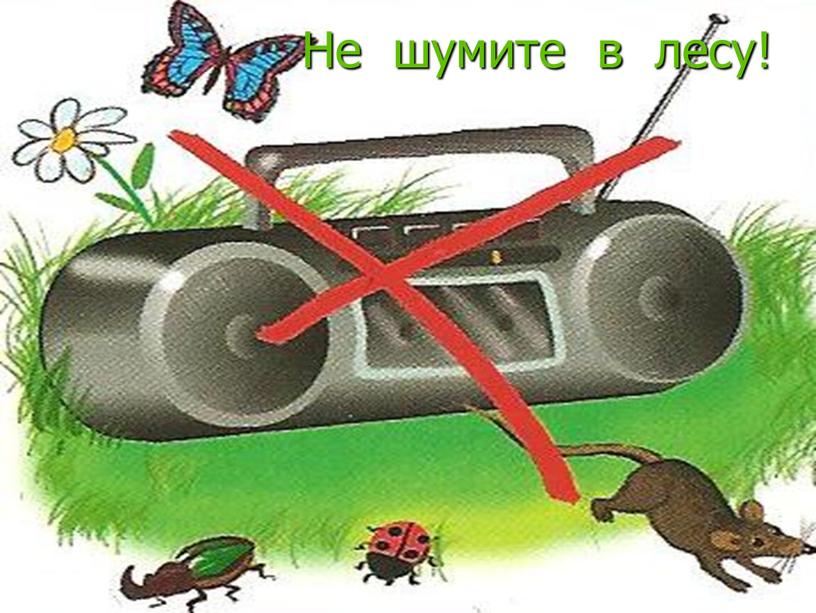 Не шумите в лесу!