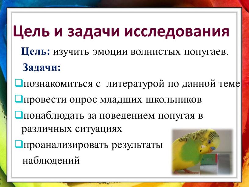 Цель и задачи исследования Цель: изучить эмоции волнистых попугаев