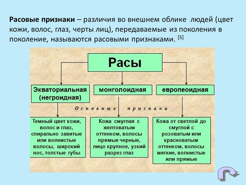 Расовые признаки – различия во внешнем облике людей (цвет кожи, волос, глаз, черты лиц), передаваемые из поколения в поколение, называются расовыми признаками