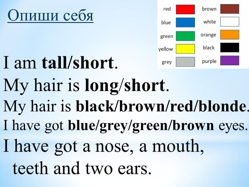 Опиши себя I am tall/short . My hair is long / short