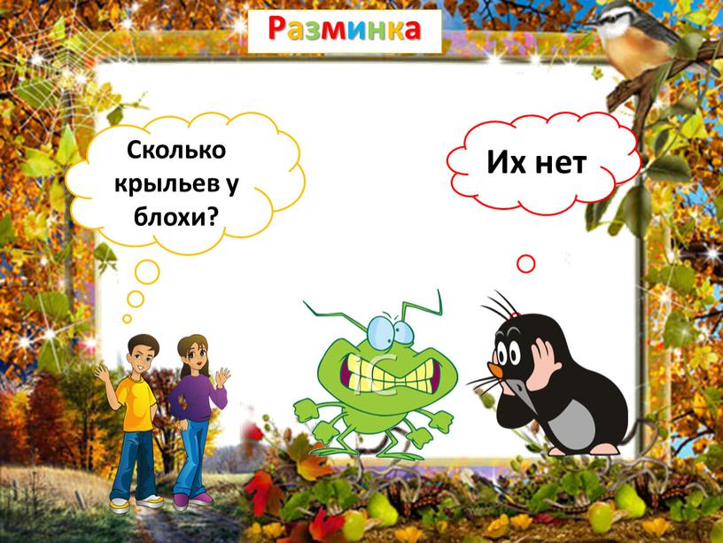 Разминка Сколько крыльев у блохи?