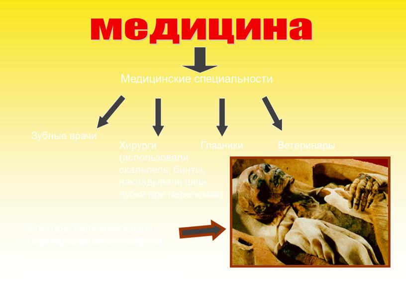 Медицинские специальности Зубные врачи