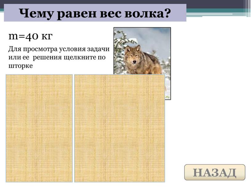 Чему равен вес волка? Для просмотра условия задачи или ее решения щелкните по шторке