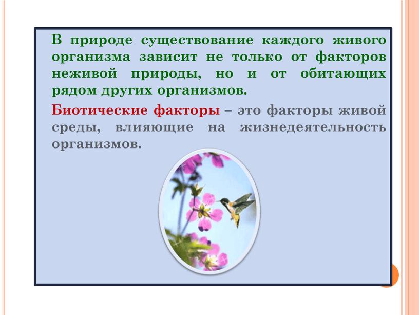 В природе существование каждого живого организма зависит не только от факторов неживой природы, но и от обитающих рядом других организмов