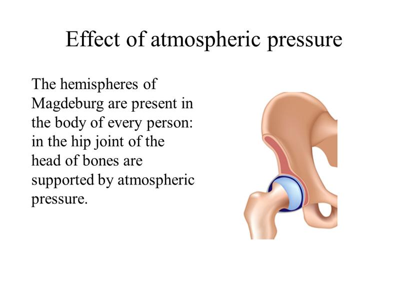 The hemispheres of Magdeburg are present in the body of every person: in the hip joint of the head of bones are supported by atmospheric…