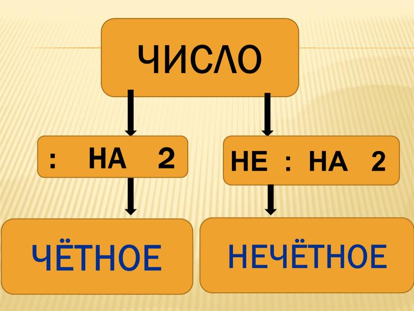 ЧИСЛО : НА 2 ЧЁТНОЕ НЕ :