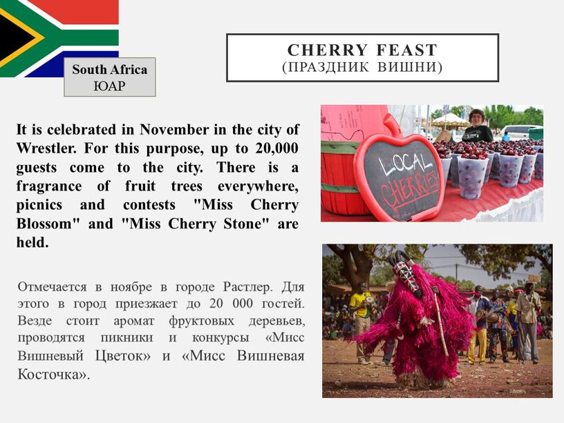 Cherry Feast (Праздник вишни)