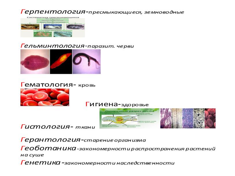 Семья биологических наук.