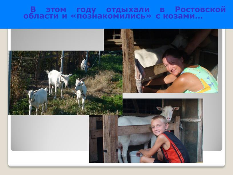 В этом году отдыхали в Ростовской области и «познакомились» с козами…
