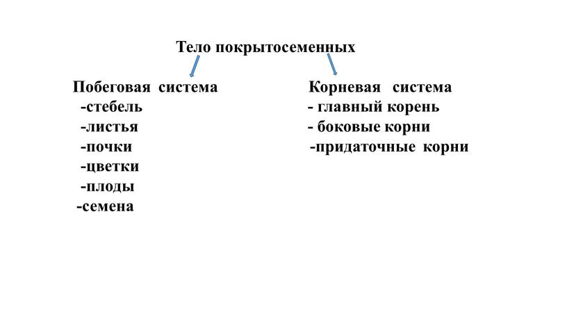 Тело покрытосеменных