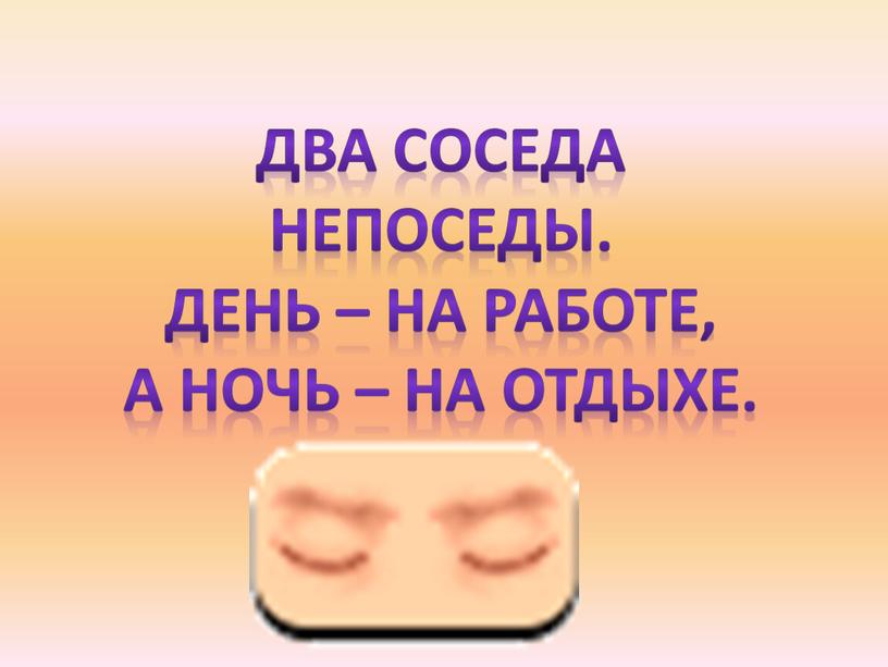 Два соседа Непоседы. День – на работе,