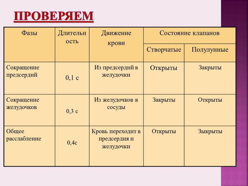 Проверяем Фазы Длительность Движение крови