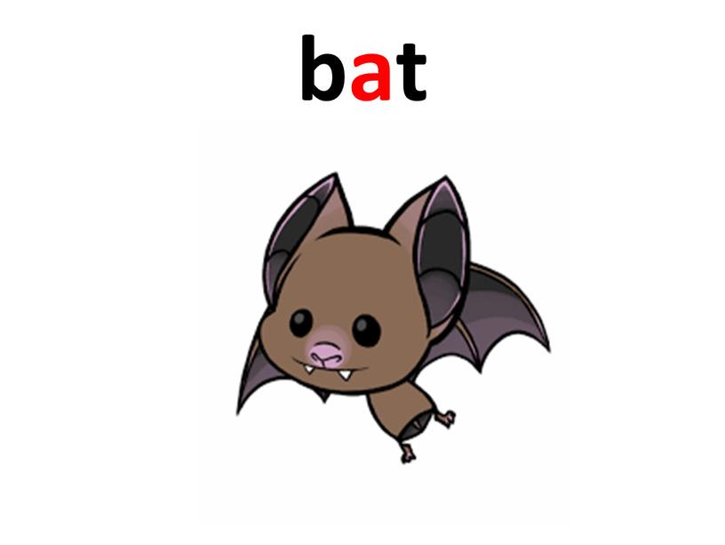 bat